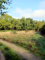 Oct 2013: 5C grassland at Head's Hill